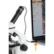 Celestron USB-C to USB-A converter 2-Pack (44426) Hot on Sale